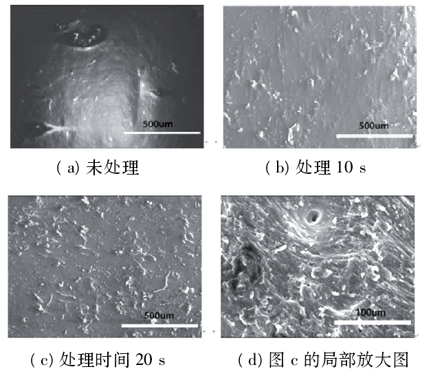 低温91视频免费下载体处理前后三元乙丙橡胶的表面形貌