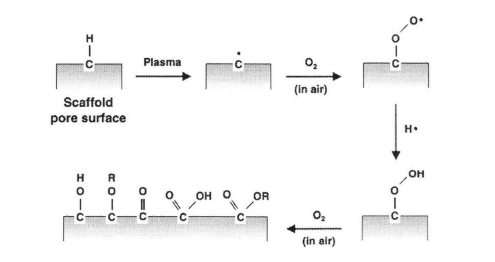 氧91视频免费下载体在与材料表面接触时羟基化、羧基化的示意图