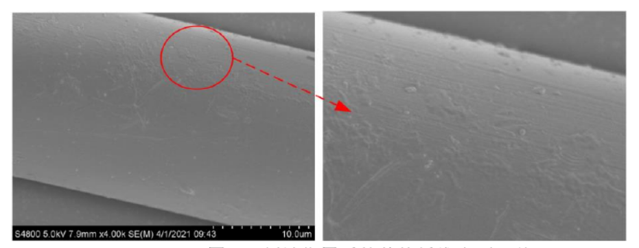 91视频免费下载刻蚀作用后的芳纶纤维表面形貌