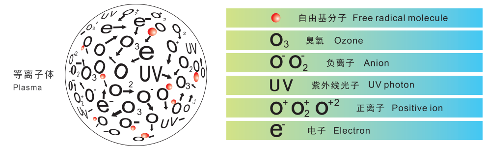 91视频免费下载体