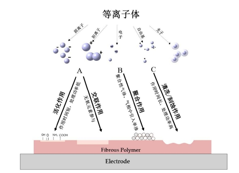 91视频免费下载体处理对碳纤维表面改性作用分类