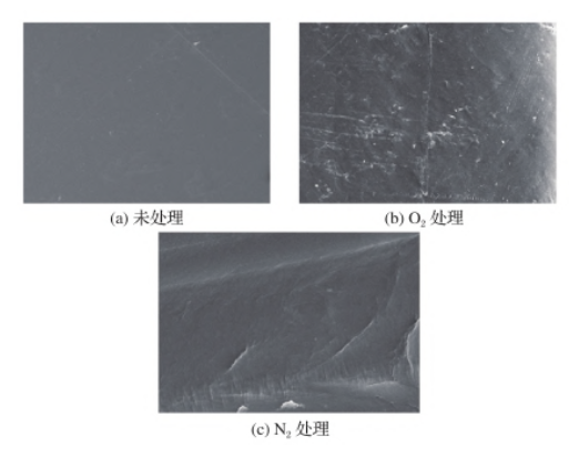 91视频免费下载处理前后HDPE表面SEM照片