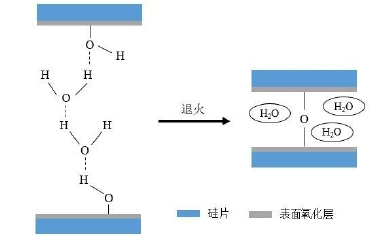 硅基晶圆亲水性表面活化键合机理