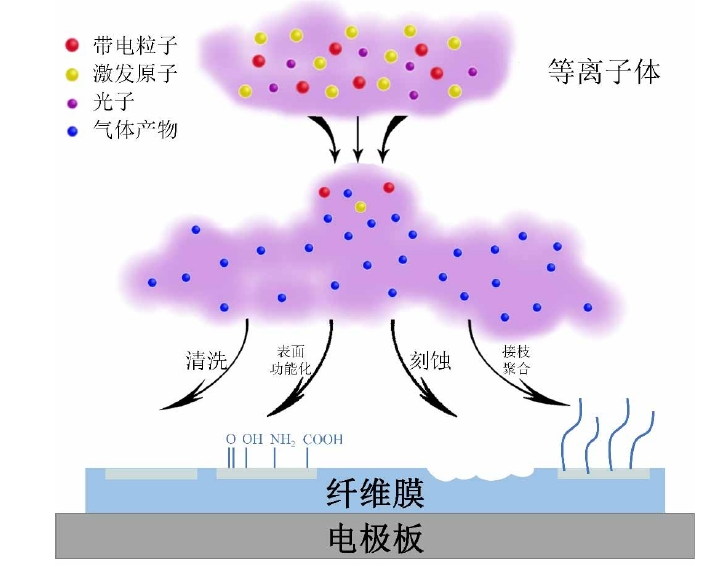 91视频免费下载体改性聚丙烯纤维膜作用机制示意图